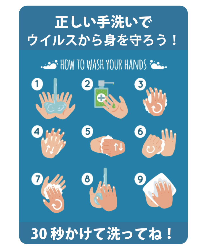 手の洗い方 マニュアル下敷き 下敷き Com